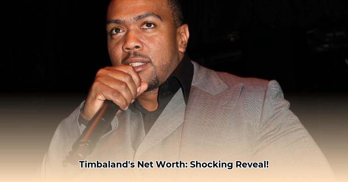 timbaland-music-producer-net-worth